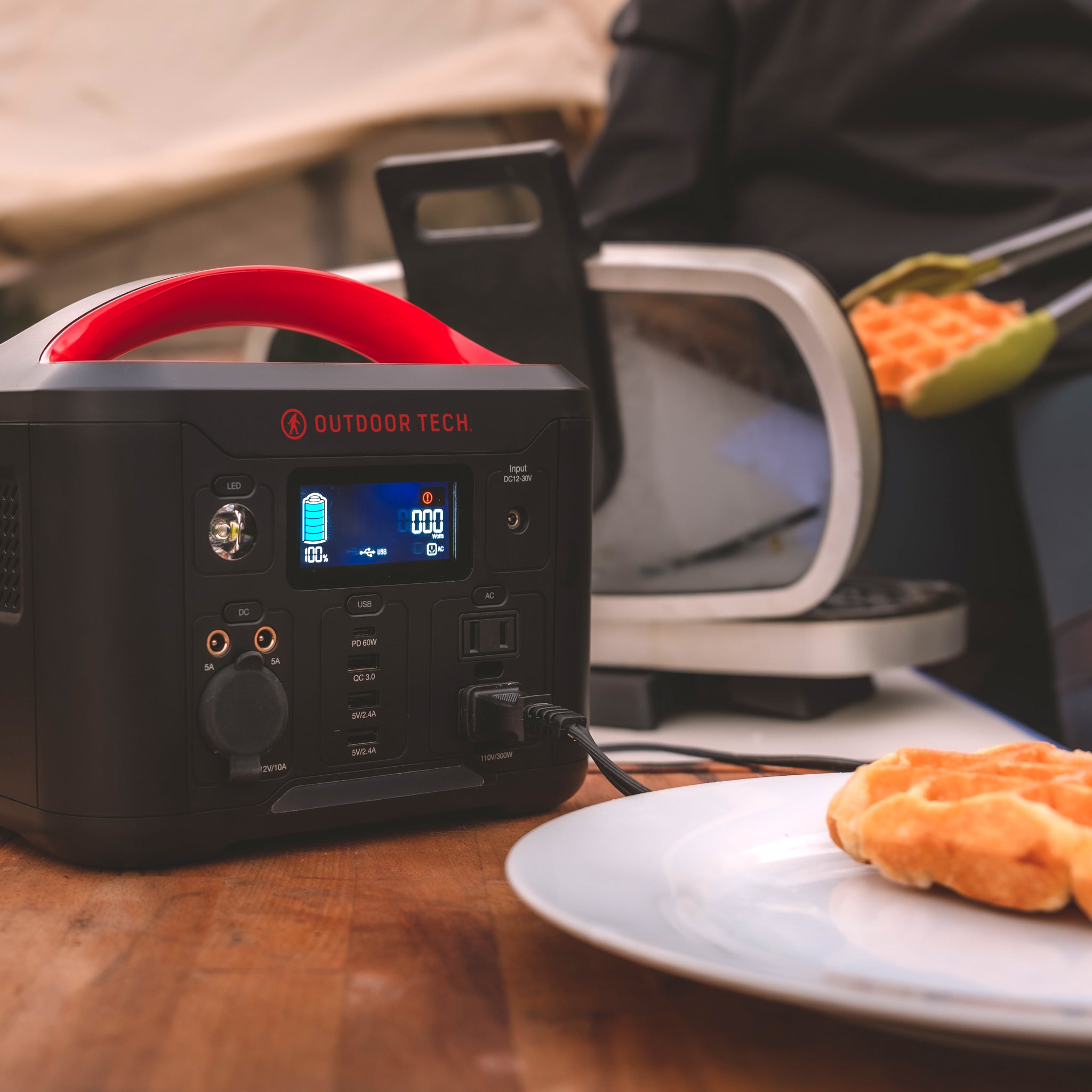 Grizzly Portable Power Station